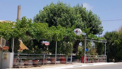20150626_135926.jpg