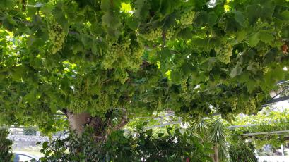 20150626_140414.jpg